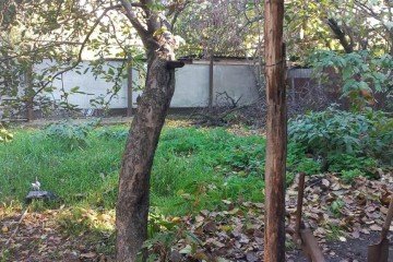 Фото №2: Земельный участок под ИЖС 4.5 сот. - Краснодар, мкр. Табачная Фабрика, ул. Дачная, 230