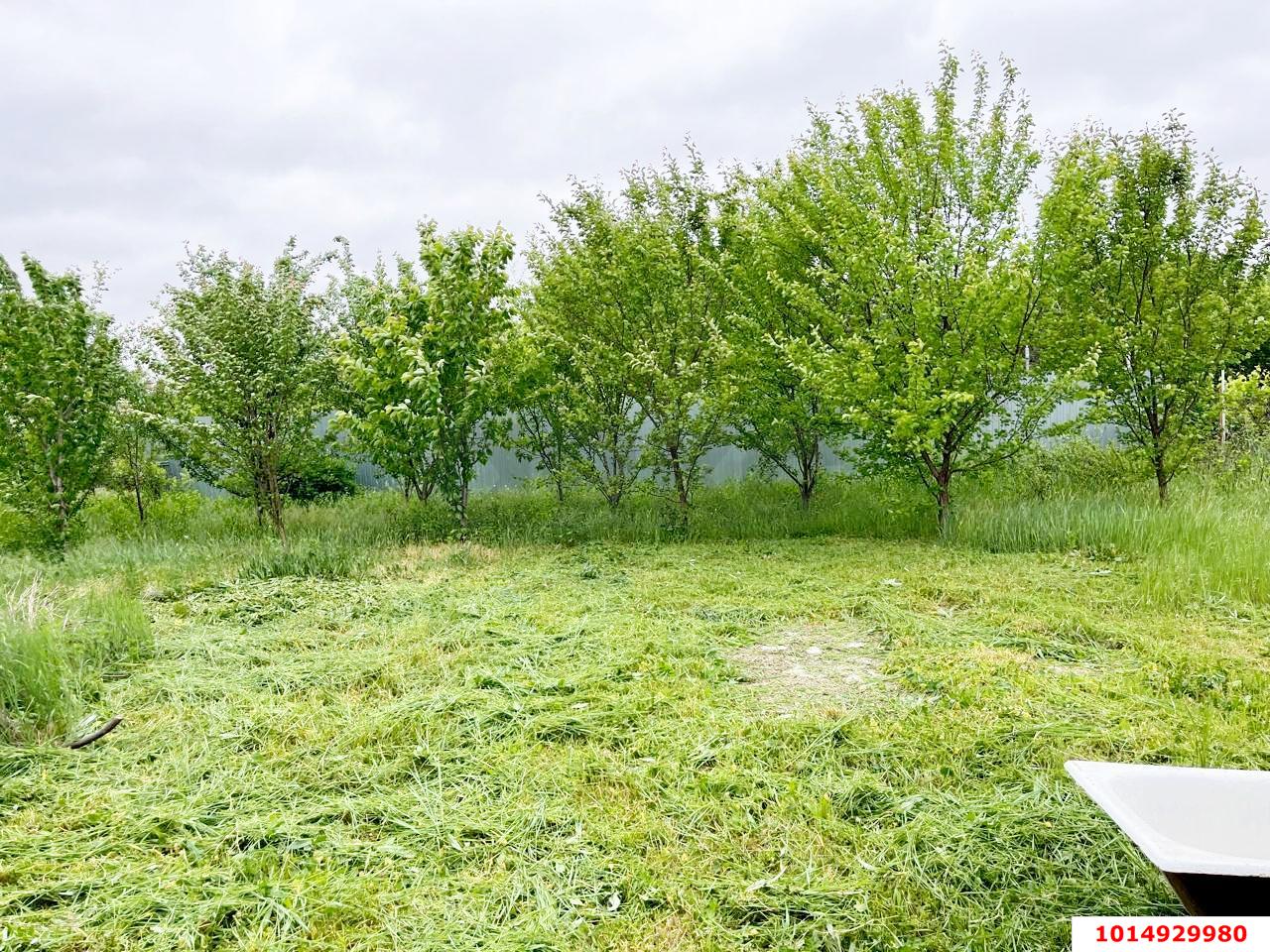 Фото №8: Дом 23 м² + 6.04 сот. - Кубанское Яблоко, Прикубанский внутригородской округ, ул. Изумрудная, 4