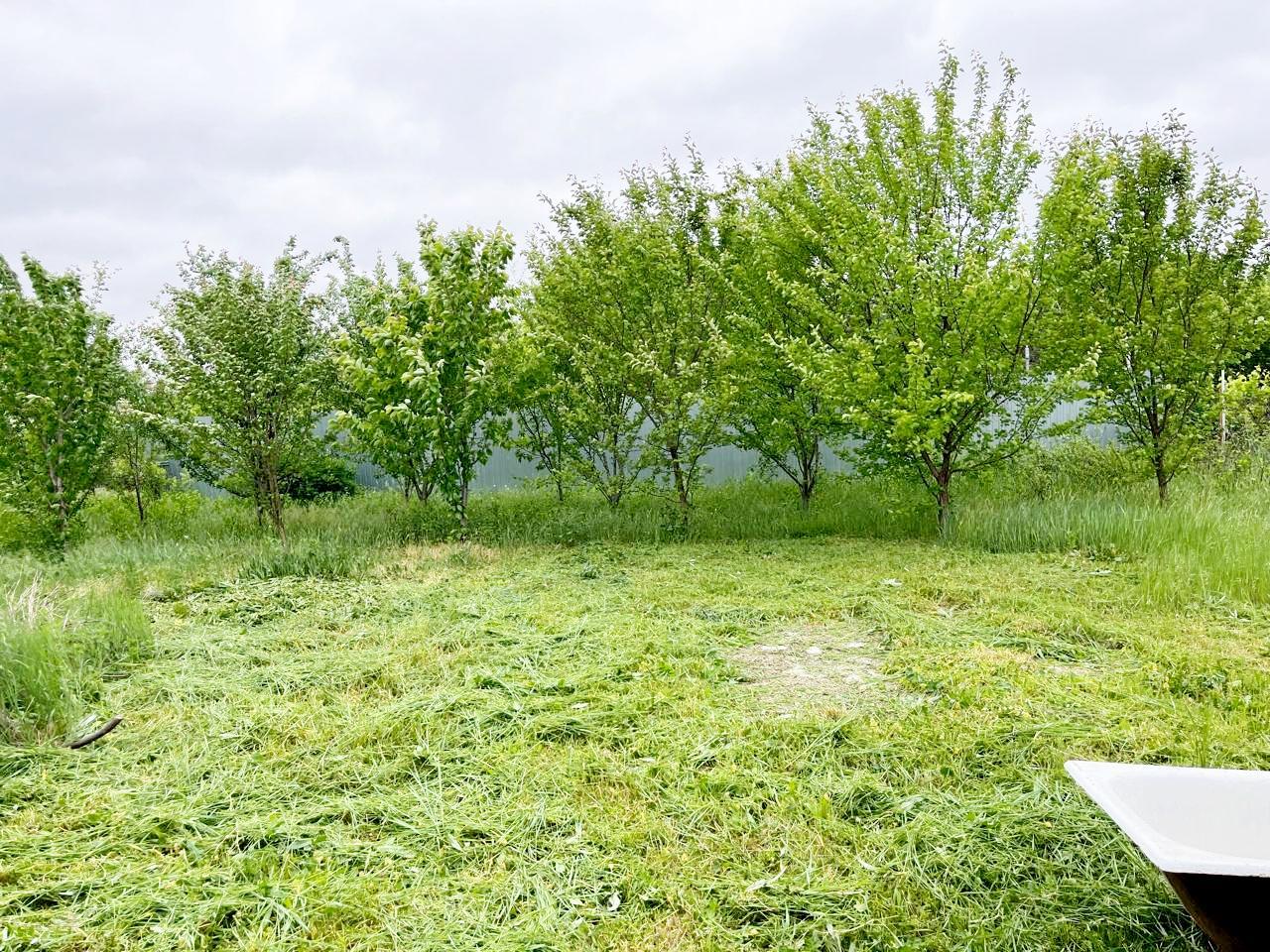 Фото №8: Дом 23 м² + 6.04 сот. - Кубанское Яблоко, мкр. Прикубанский внутригородской округ, ул. Изумрудная, 4