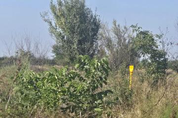 Фото №3: Земельный участок 6 сот. - Энем, ул. Чибийская