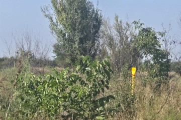 Фото №3: Участок садоводство 6 сот. - Энем, ул. Чибийская