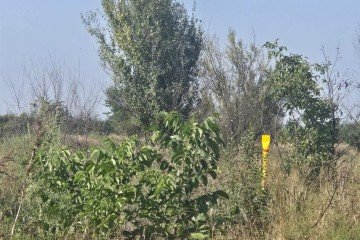 Фото №3: Участок садоводство 6 сот. - Энем, ул. Чибийская