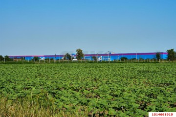 Фото №1: Коммерческая земля 287 сот. - Дружный, мкр. индустриальный парк Энем, 