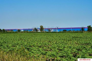 Фото №1: Коммерческая земля 287 сот. - Дружный, мкр. индустриальный парк Энем, 