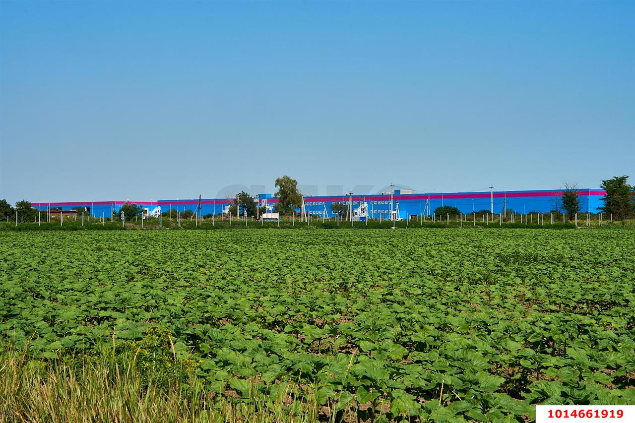 Фото №1: Коммерческая земля 287 сот. - Дружный, индустриальный парк Энем