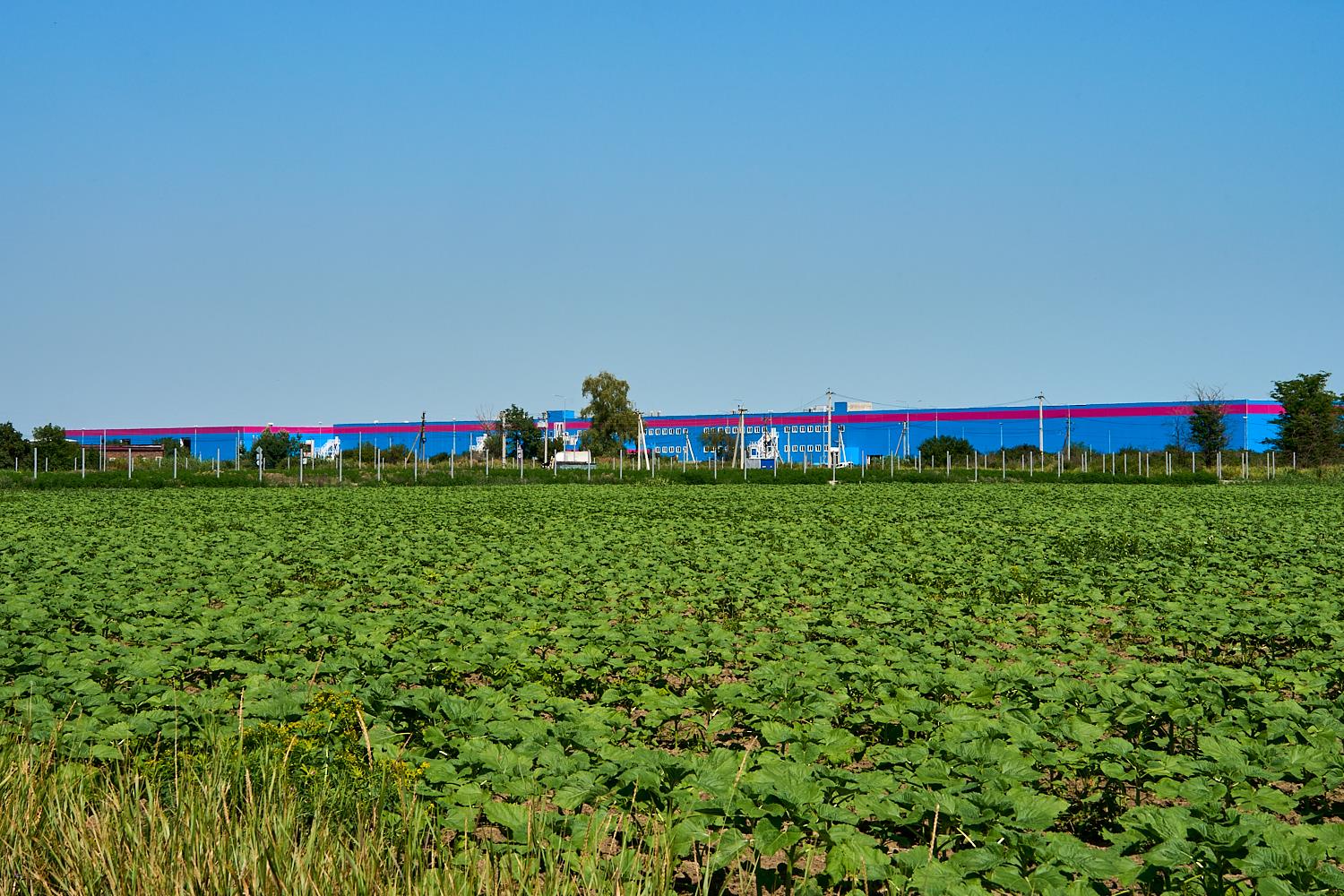 Фото №1: Коммерция 287 м² - Дружный, мкр. индустриальный парк Энем