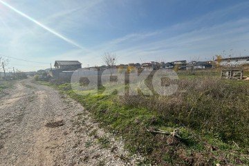 Фото №5: Земельный участок под ИЖС - Мирное, ул. Давида Гордона