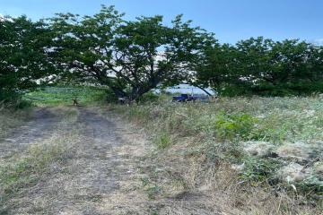 Фото №2: Земельный участок 6.69 сот. - Дружелюбный, мкр. квартал Куренной, 345