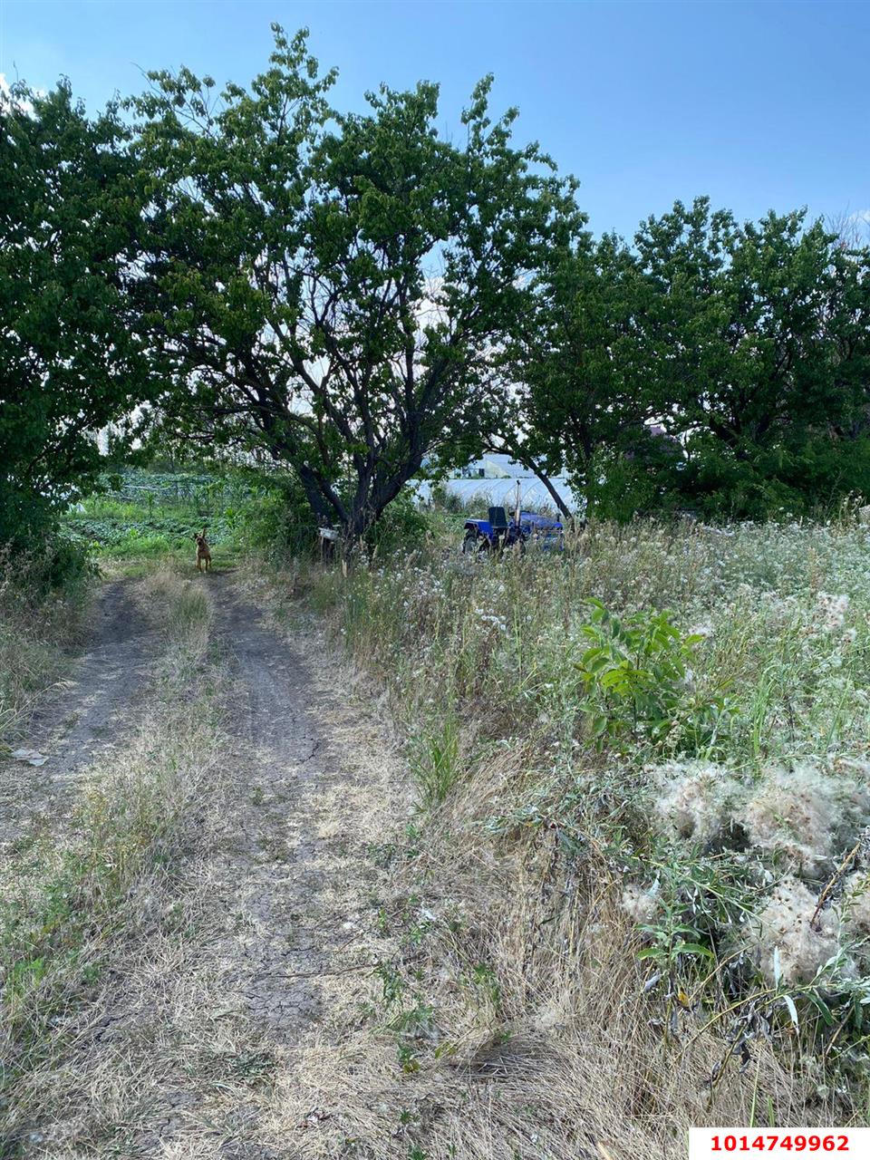 Фото №2: Земельный участок 6.69 сот. - Дружелюбный, Прикубанский внутригородской округ, коттеджный комплекс Дружный, мкр. квартал Куренной, 345