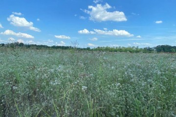 Фото №3: Земельный участок под ИЖС 6.69 сот. - Дружелюбный, мкр. квартал Куренной, 345