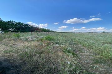 Фото №5: Земельный участок 6.69 сот. - Дружелюбный, мкр. квартал Куренной, 345