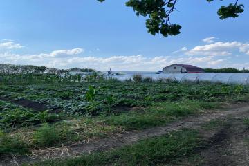 Фото №1: Земельный участок 6.69 сот. - Дружелюбный, мкр. квартал Куренной, 345