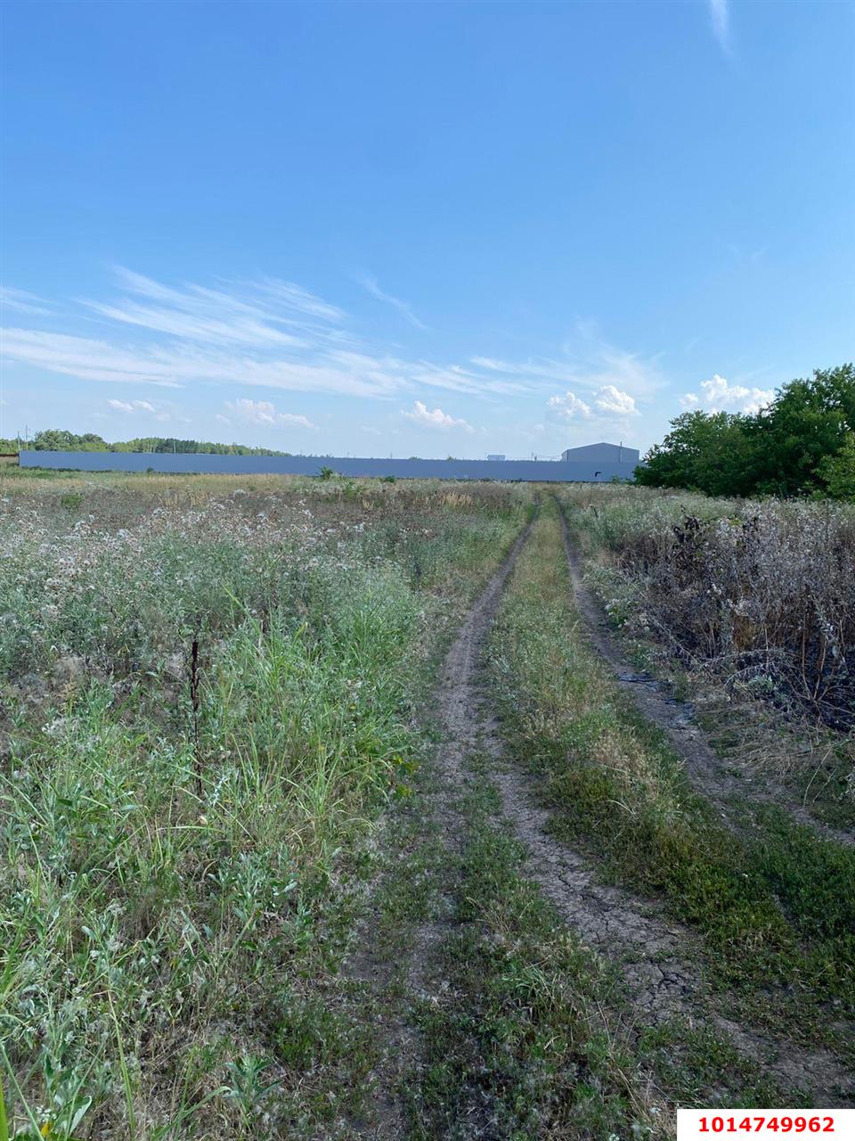 Фото №4: Земельный участок под ИЖС 6.69 сот. - Дружелюбный, квартал Куренной, 345