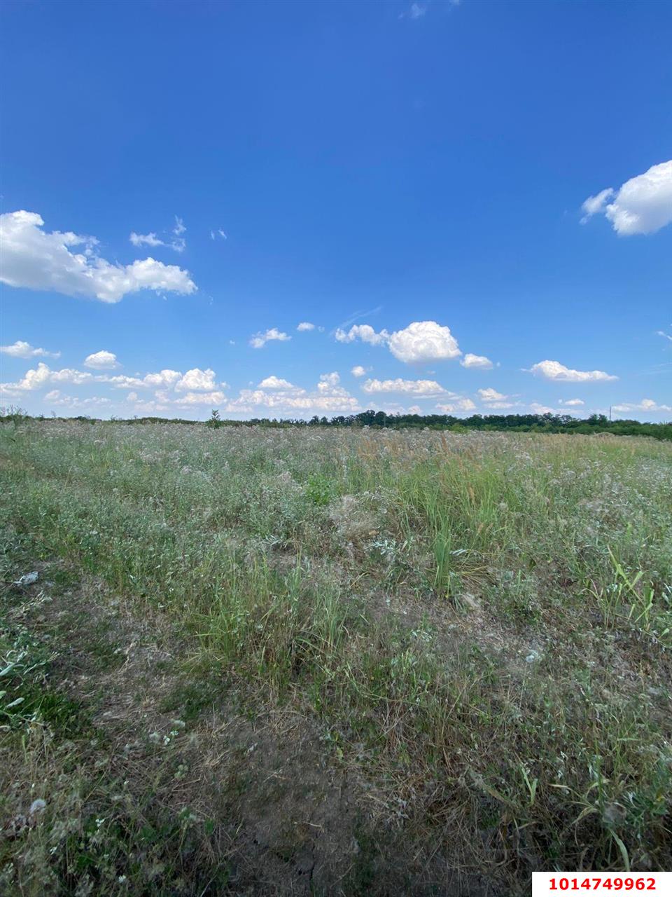 Фото №6: Земельный участок 6.69 сот. - Дружелюбный, Прикубанский внутригородской округ, коттеджный комплекс Дружный, мкр. квартал Куренной, 345