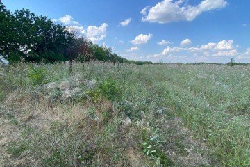 Фото №5: Земельный участок под ИЖС 6.69 сот. - Дружелюбный, мкр. квартал Куренной, 345