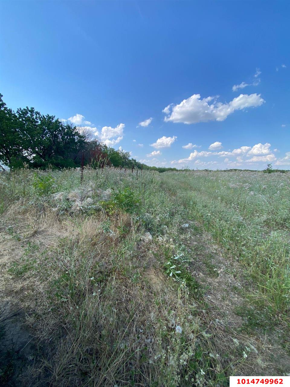 Фото №5: Земельный участок под ИЖС 6.69 сот. - Дружелюбный, квартал Куренной, 345