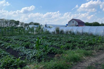 Фото №1: Земельный участок под ИЖС 6.69 сот. - Дружелюбный, мкр. квартал Куренной, 345