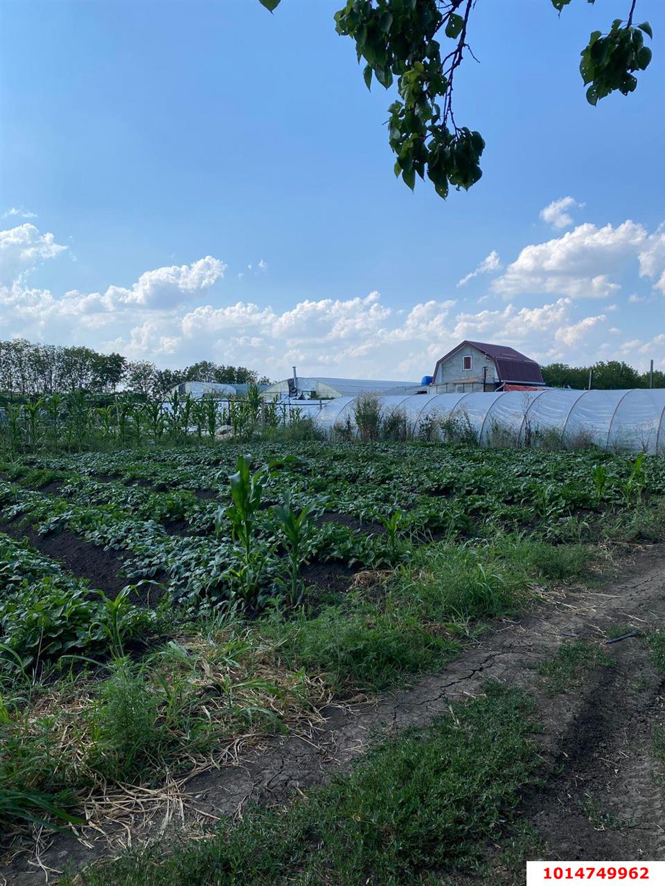 Фото №1: Земельный участок под ИЖС 6.69 сот. - Дружелюбный, квартал Куренной, 345