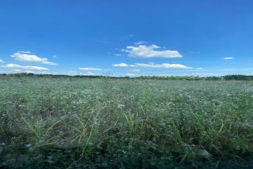 Фото №3: Земельный участок 6.69 сот. - Дружелюбный, мкр. квартал Куренной, 345