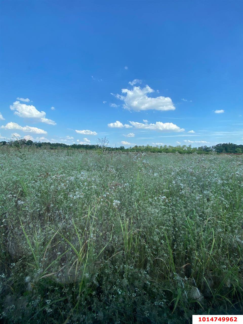 Фото №3: Земельный участок 6.69 сот. - Дружелюбный, Прикубанский внутригородской округ, коттеджный комплекс Дружный, мкр. квартал Куренной, 345