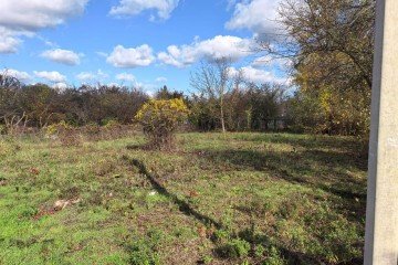 Фото №3: Участок садоводство 6.4 сот. - Елизаветинская, ст Голубая Нива, ул. Южная, 186