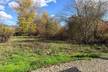 Фото №4: Земельный участок 6.4 сот. - Елизаветинская, ст Голубая Нива, ул. Южная, 186