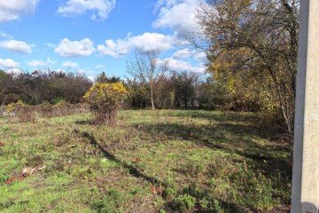 Фото №2: Участок садоводство 6.4 сот. - Елизаветинская, ст Голубая Нива, ул. Южная, 186