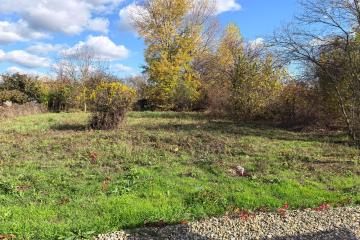 Фото №5: Земельный участок 6.4 сот. - Елизаветинская, ст Голубая Нива, ул. Южная, 186