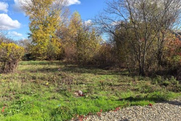 Фото №4: Участок садоводство 6.4 сот. - Елизаветинская, ст Голубая Нива, ул. Южная, 186