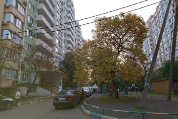 Фото №1: Торговое помещение 20 м² - Краснодар, мкр. Юбилейный, пр-кт Чекистов, 40