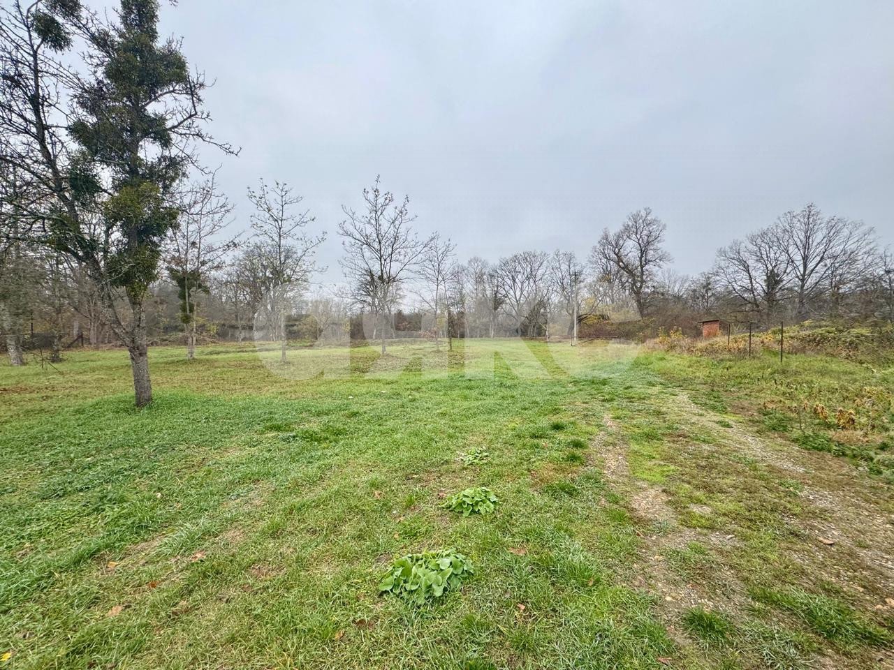 Фото №7: Участок садоводство 5 сот. - СДТ Текстильщик, ул. Цветочная, 249