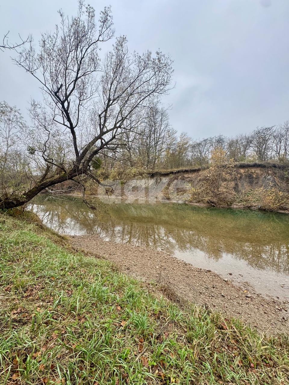 Фото №4: Участок садоводство 5 сот. - СДТ Текстильщик, ул. Цветочная, 249