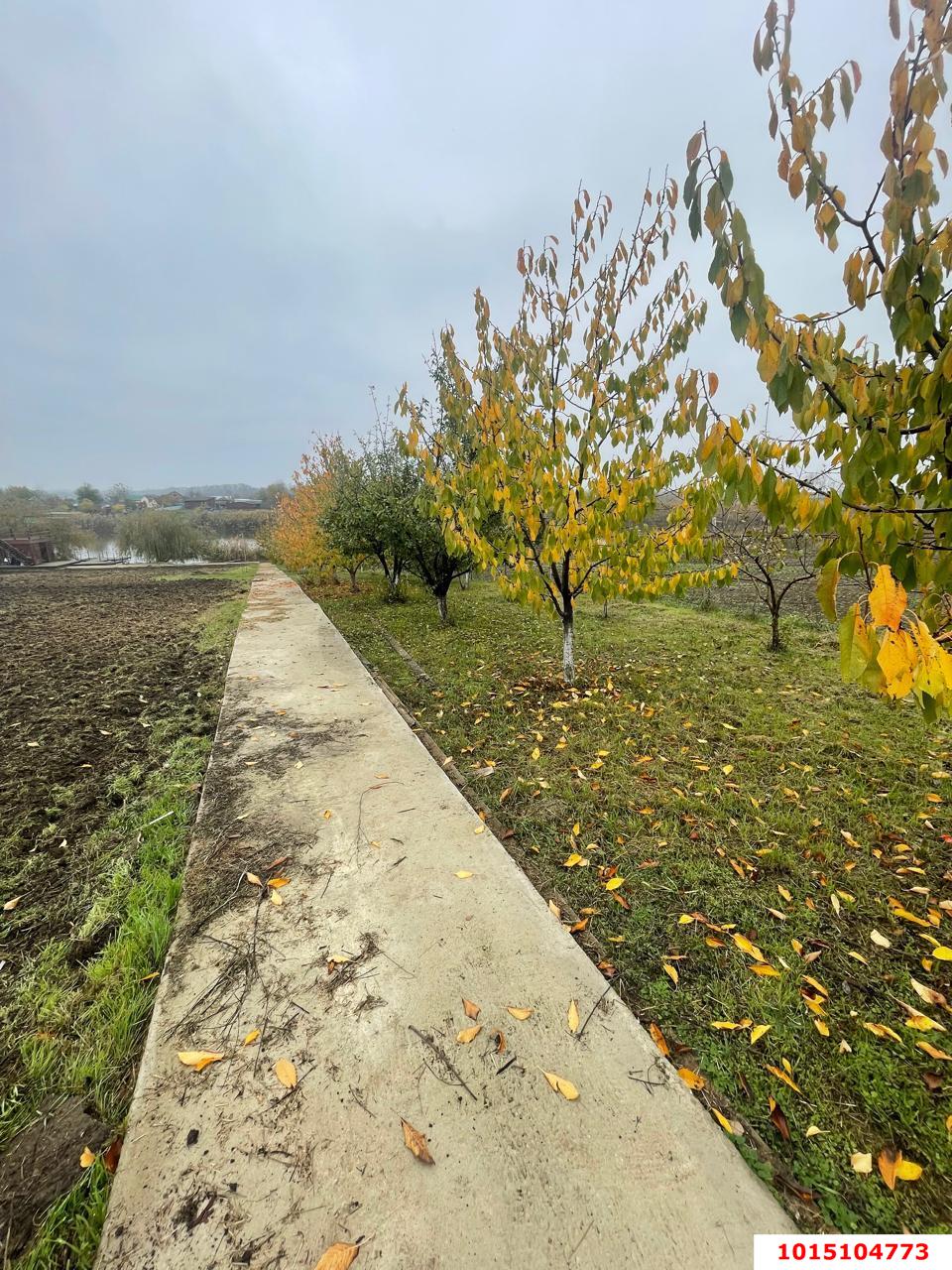 Фото №12: Земельный участок под ИЖС 54.21 сот. - Лютых, ул. Октябрьская, 3