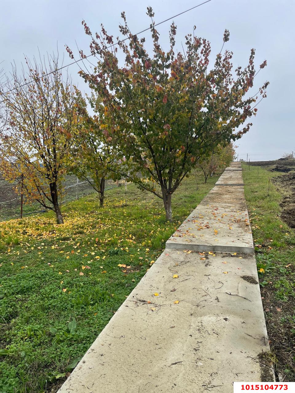 Фото №11: Земельный участок под ИЖС 54.21 сот. - Лютых, ул. Октябрьская, 3