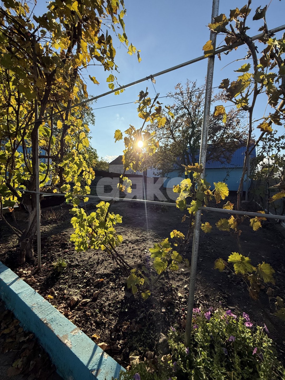 Фото №18: Дом 72 м² + 1232 сот. - Старый Крым, ул. Заречная, 14