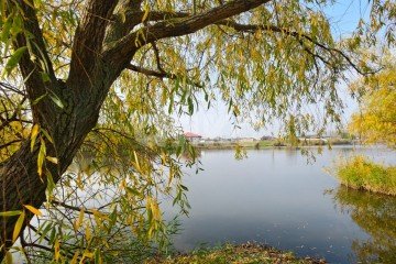 Фото №2: Земельный участок под ИЖС - Кореновск, ул. Колхозная