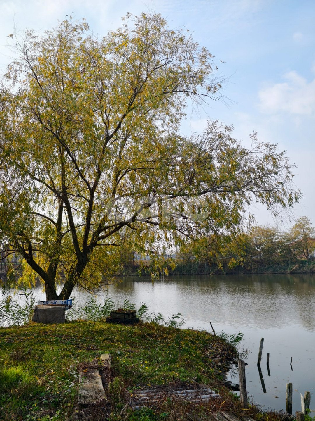 Фото №3: Земельный участок под ИЖС 15 сот. - Кореновск, ул. Колхозная