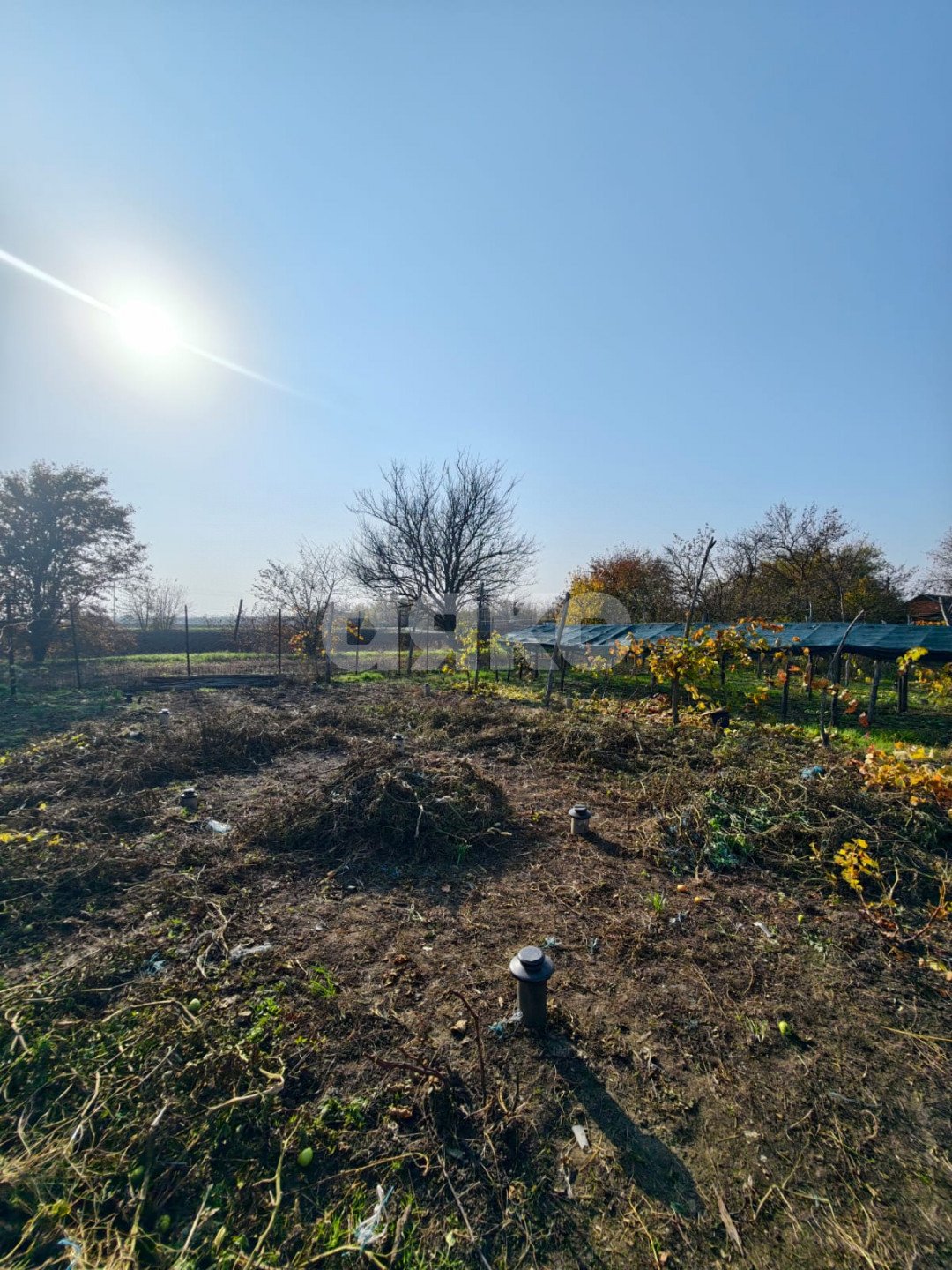 Фото №37: Дом 185 м² + 2749 сот. - Бураковский, ул. Коммунистическая, 84