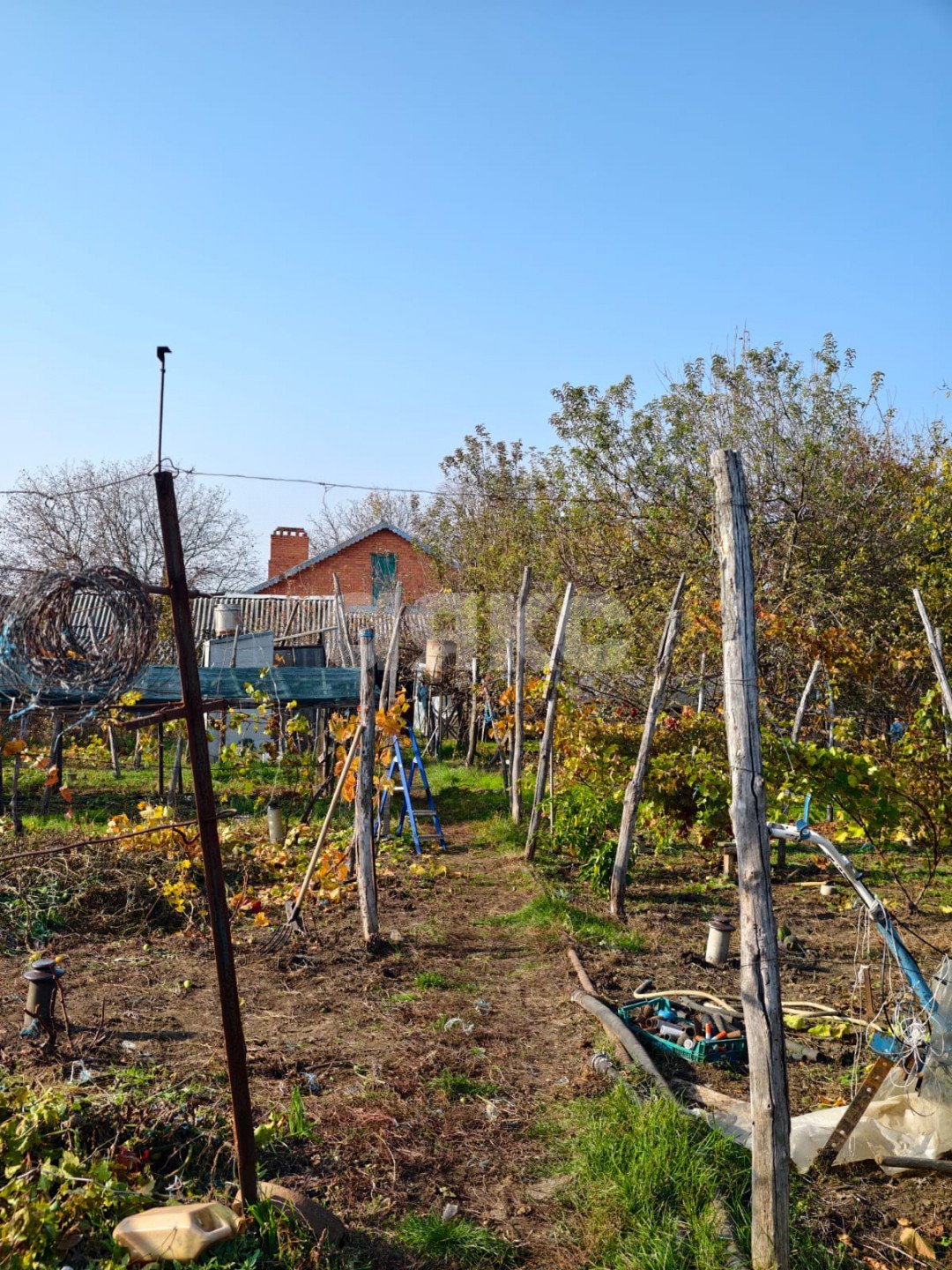 Фото №9: Дом 185 м² + 2749 сот. - Бураковский, ул. Коммунистическая, 84