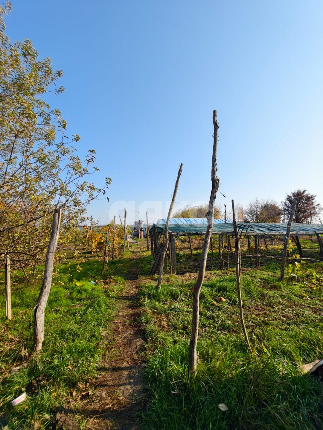 Фото №8: Дом 185 м² + 2749 сот. - Бураковский, ул. Коммунистическая, 84