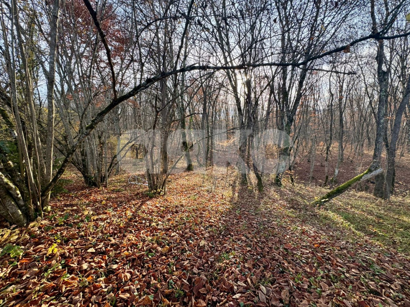 Фото №6: Личное подсобное хозяйство 20 сот. - Дагестанская, ул. Пролетарская