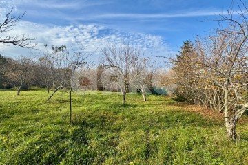 Фото №1: Личное подсобное хозяйство - Дагестанская, ул. Пролетарская