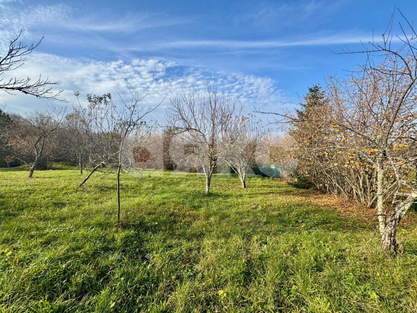 Фото №1: Личное подсобное хозяйство 20 сот. - Дагестанская, ул. Пролетарская