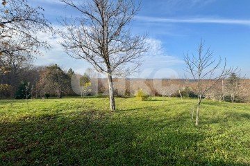 Фото №4: Личное подсобное хозяйство - Дагестанская, ул. Пролетарская