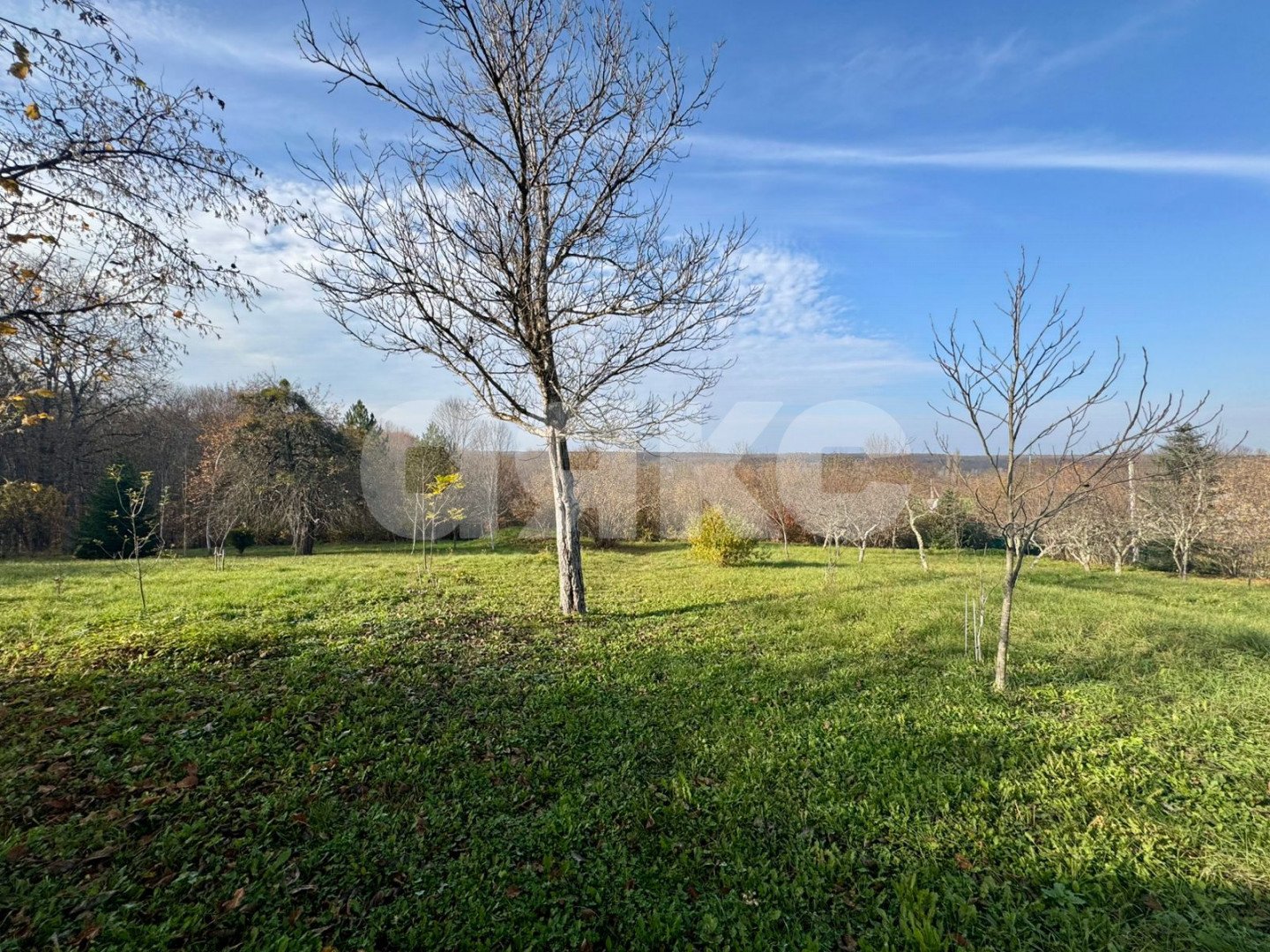 Фото №4: Личное подсобное хозяйство 20 сот. - Дагестанская, ул. Пролетарская