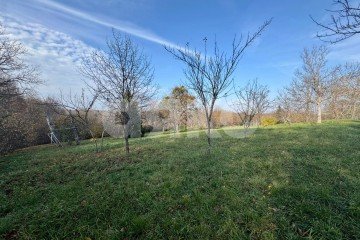 Фото №2: Личное подсобное хозяйство - Дагестанская, ул. Пролетарская