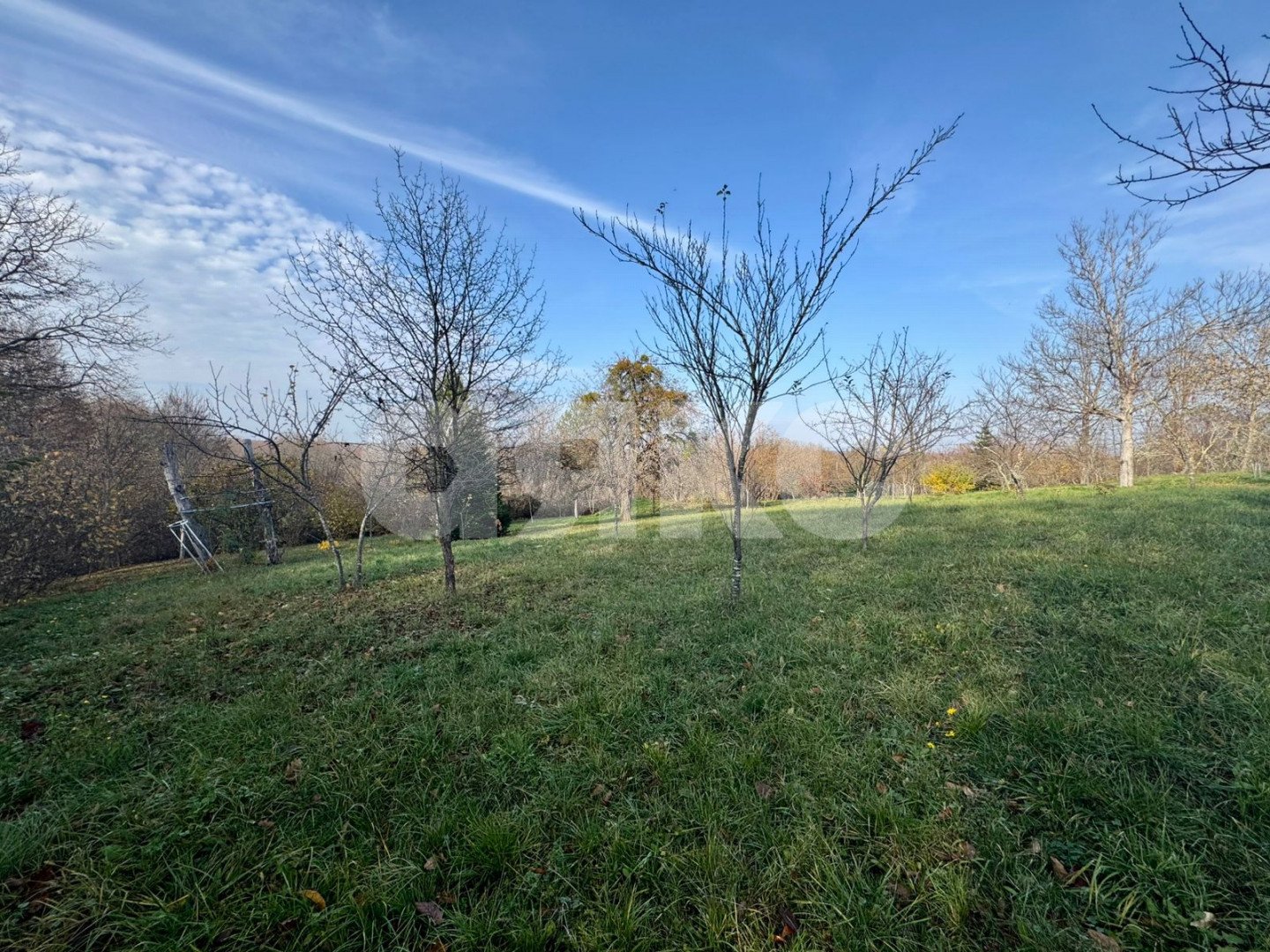 Фото №2: Личное подсобное хозяйство 20 сот. - Дагестанская, ул. Пролетарская