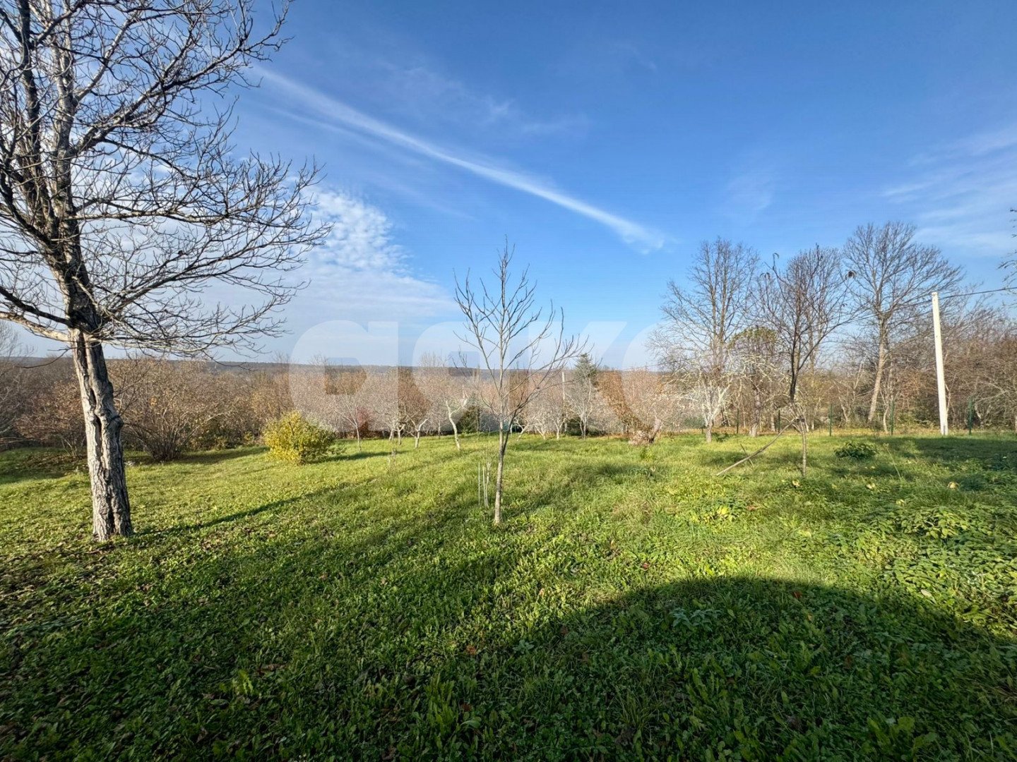 Фото №3: Личное подсобное хозяйство 20 сот. - Дагестанская, ул. Пролетарская