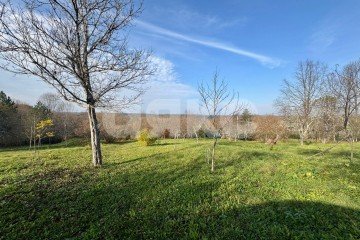 Фото №5: Личное подсобное хозяйство - Дагестанская, ул. Пролетарская