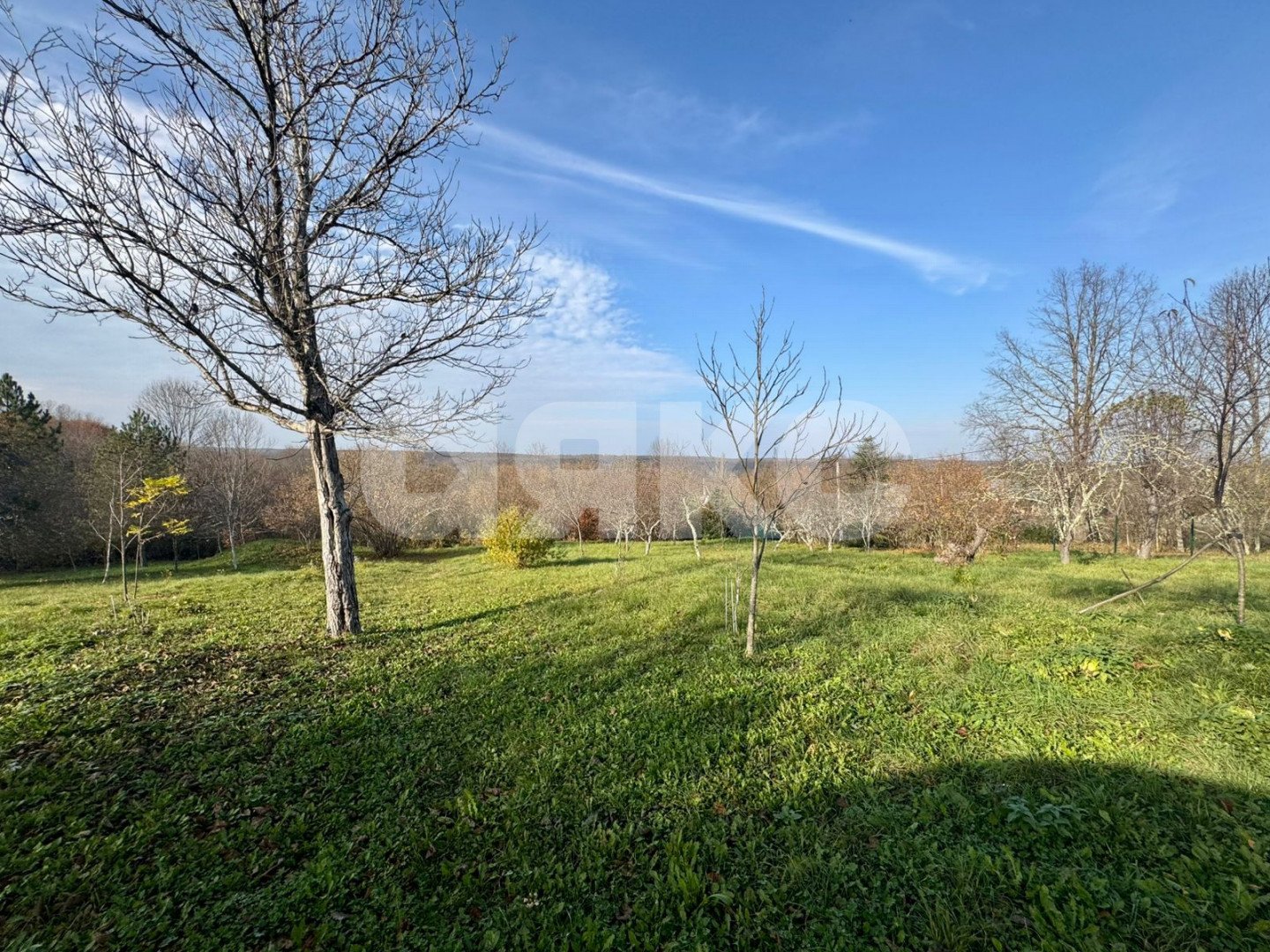 Фото №5: Личное подсобное хозяйство 20 сот. - Дагестанская, ул. Пролетарская